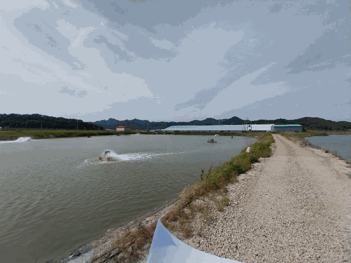 본 건 전 경
(기호 4, 9)