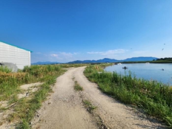 부동산표시 제2호, 제3호 - 일부도로