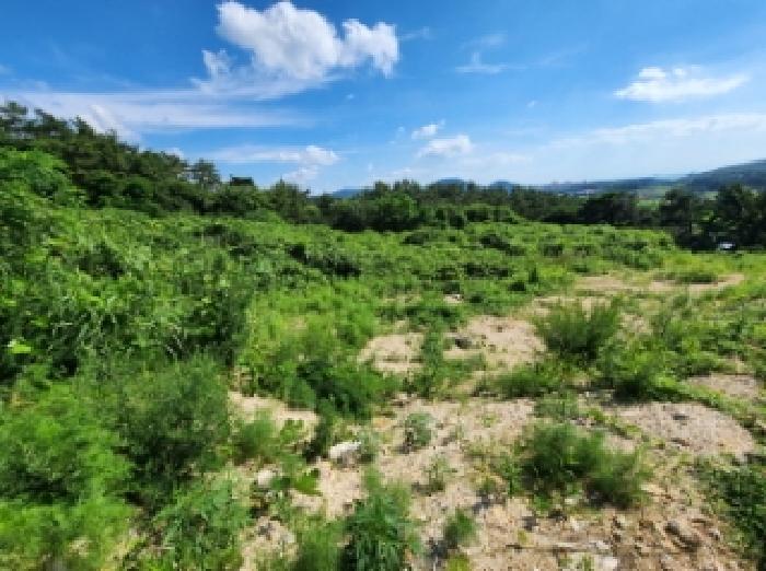 부동산표시 제1호 ~ 제4호