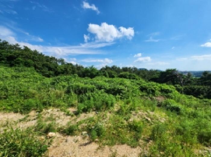 부동산표시 제1호 ~ 제4호