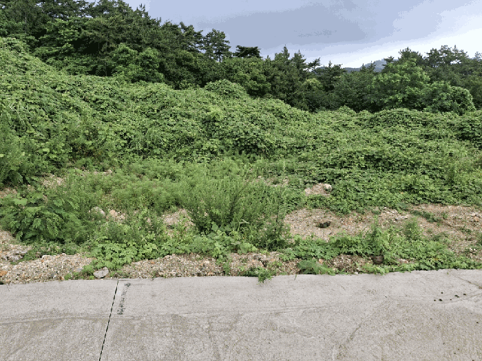 일련번호 3)토지