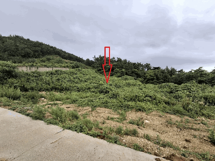 일련번호 4)토지