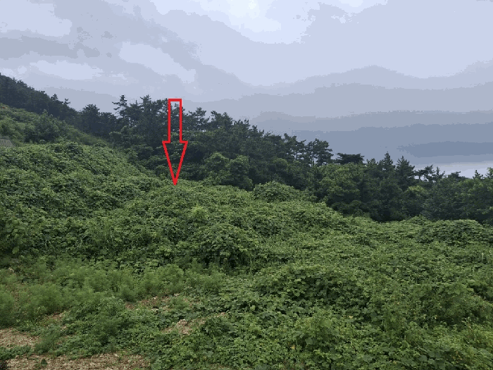 일련번호 1,2)토지