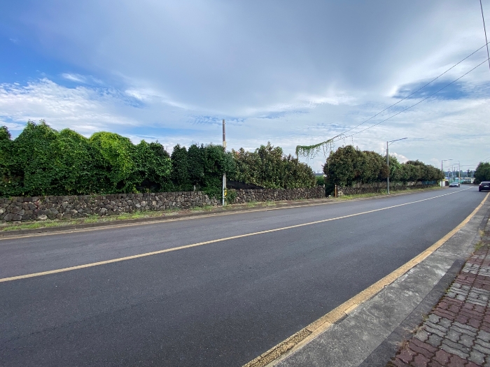 일련번호 5 전경