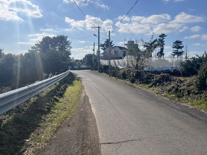 대상물건 서측 도로 전경