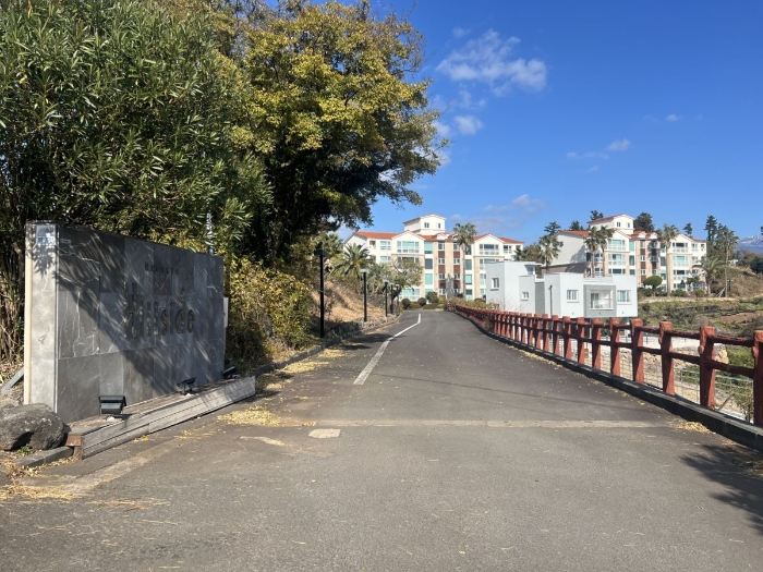 대상물건 남동측 도로 전경