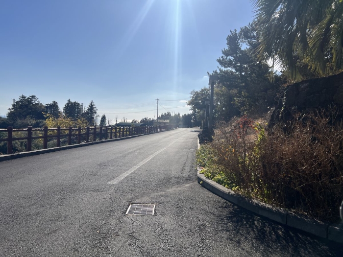 대상물건 남동측 도로 전경