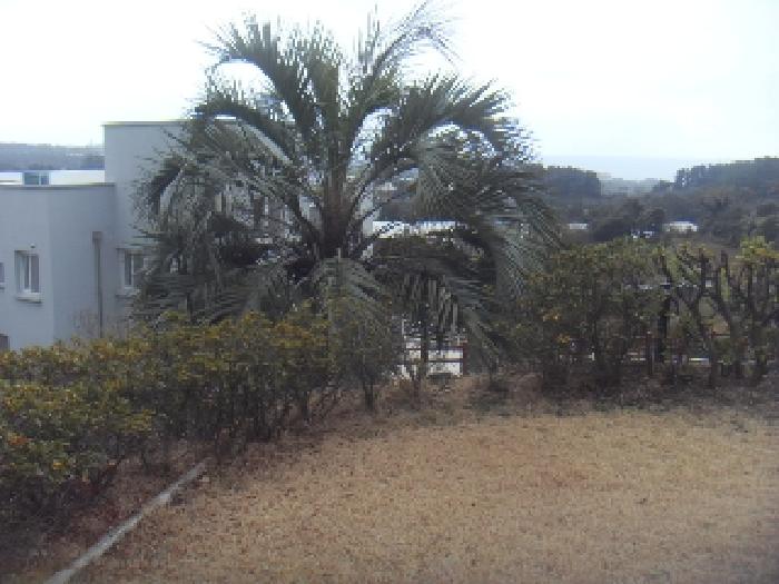 소재지2(상예동 1612) 전경 사진