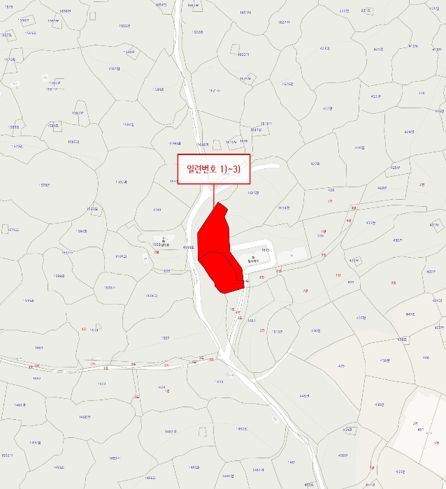 상세위치도(의견용)-본건만