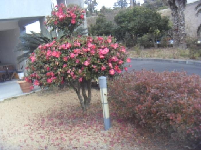 소재지2(상예동 1612) 전경 사진