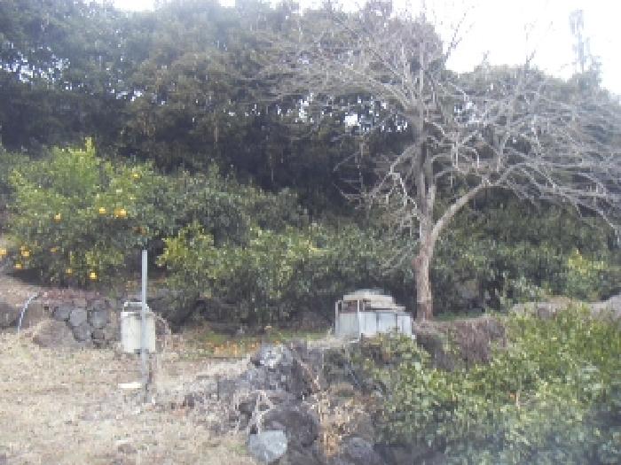 소재지3(상예동 1612-1) 전경 사진