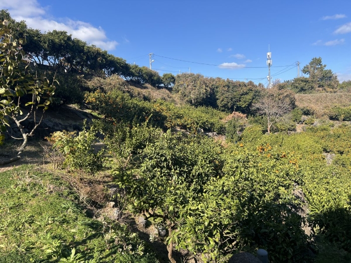 일련번호 3) 전경