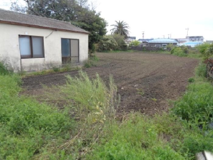 소재지 2.(상모리 3999-1) 전경