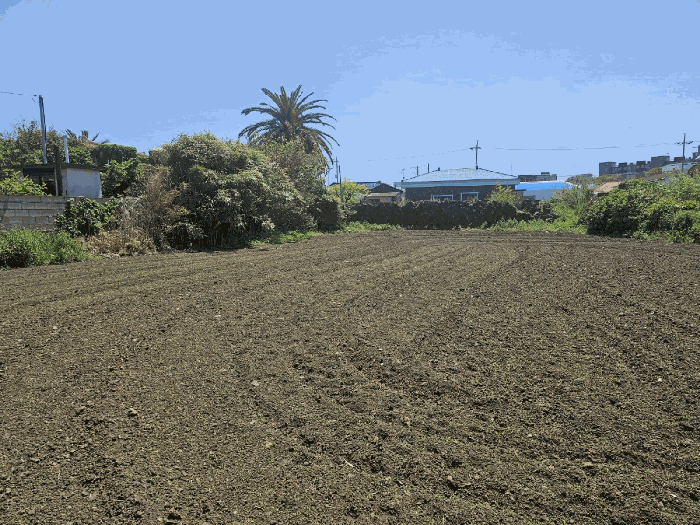 기호(3) 토지 현황
