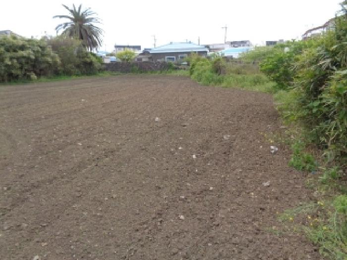 소재지 3.(상모리 4027-1) 전경