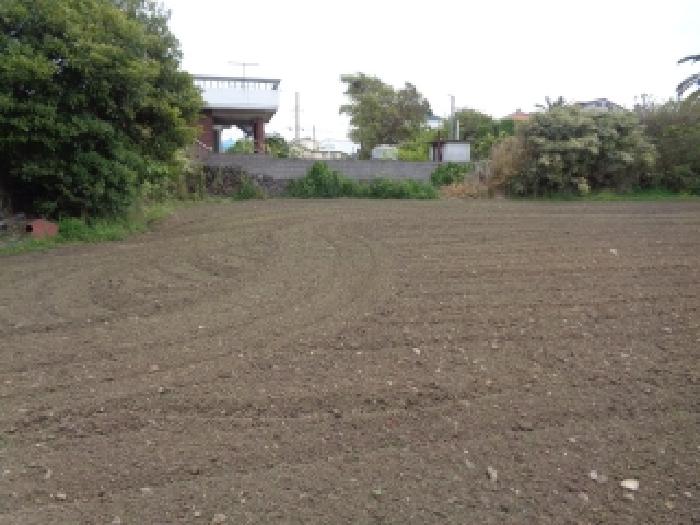 소재지 3.(상모리 4027-1) 전경