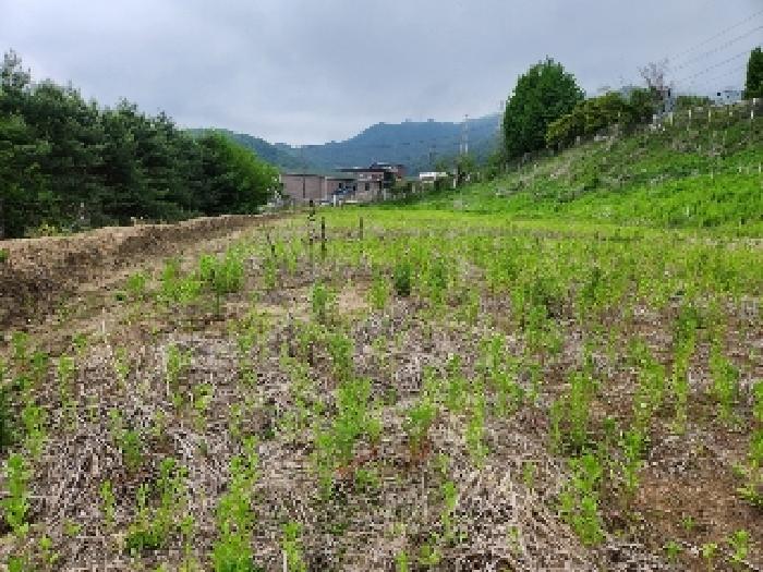 목록1 토지 전경