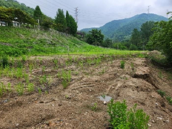 목록1 토지 전경