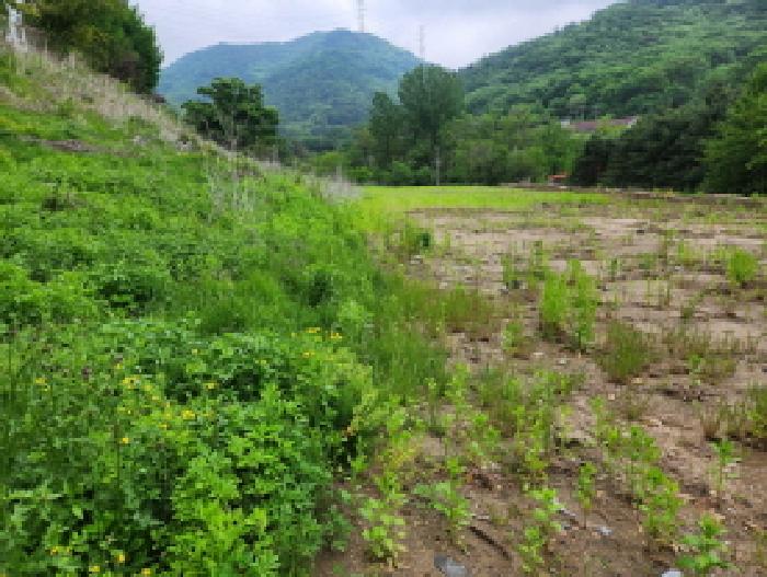 목록1 토지 전경