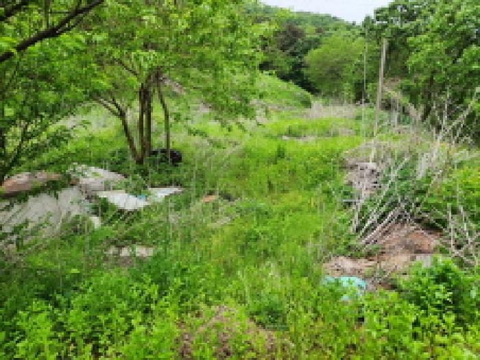 목록1 토지 전경