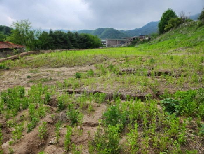 목록1 토지 전경