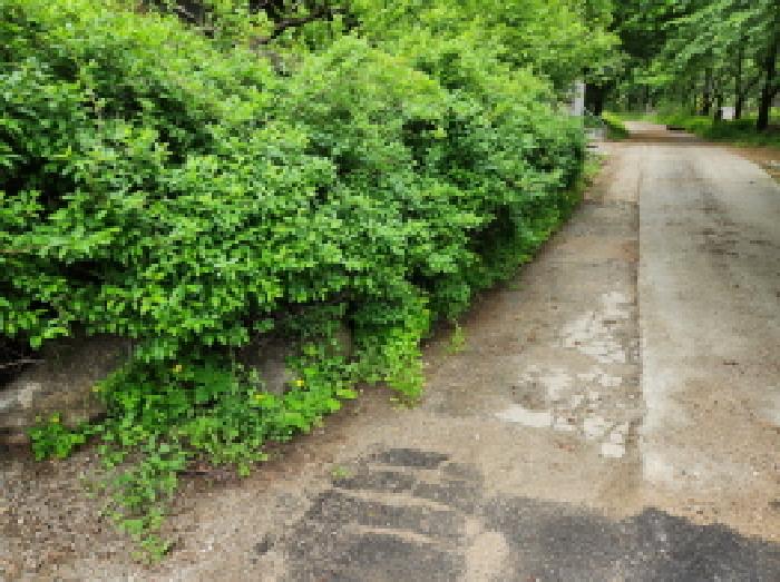 목록3 토지 전경