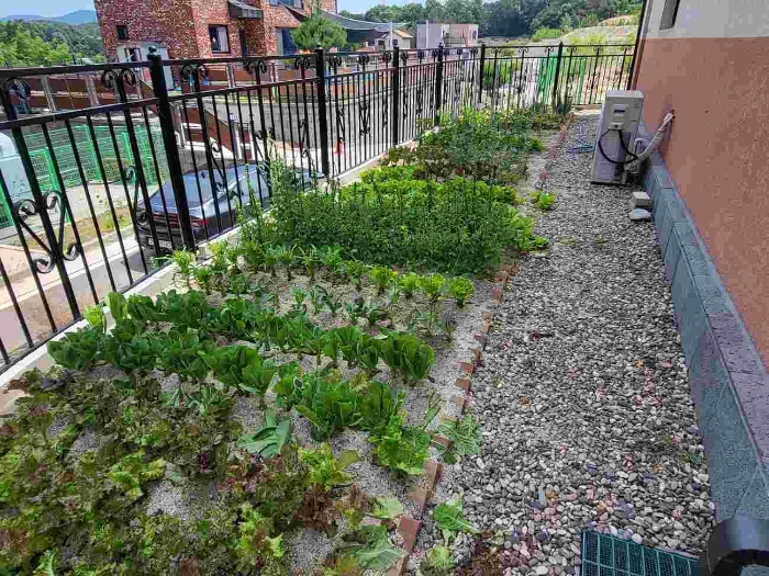 제시 목록 5 부동산(텃밭)