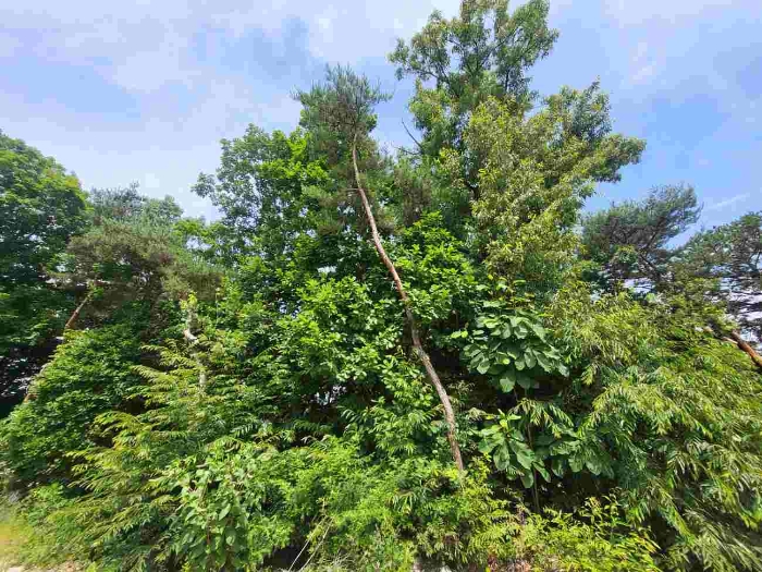 제시 목록 8 부동산