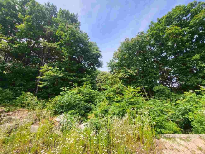 제시 목록 8 부동산