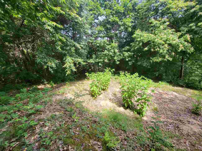 제시 목록 8 부동산