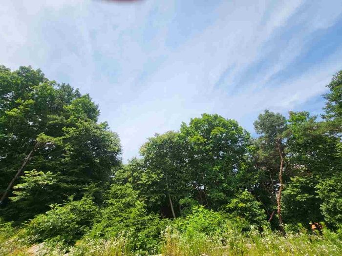 제시 목록 8 부동산