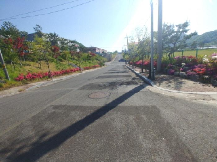 주변 도로 모습