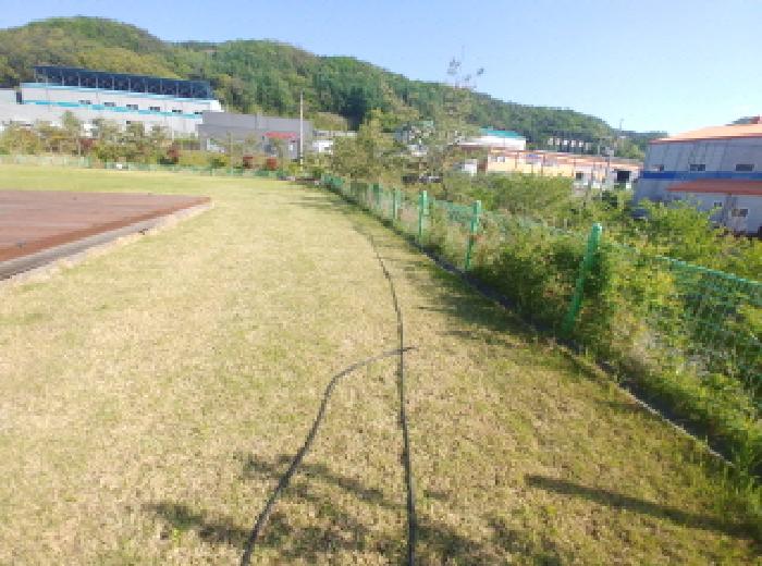 제시외 철제 울타리 모습