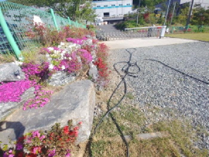 제시외 석축 및 화단 모습