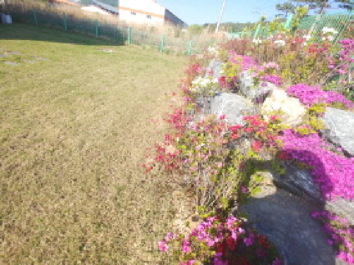 제시외 석축 및 화단 모습