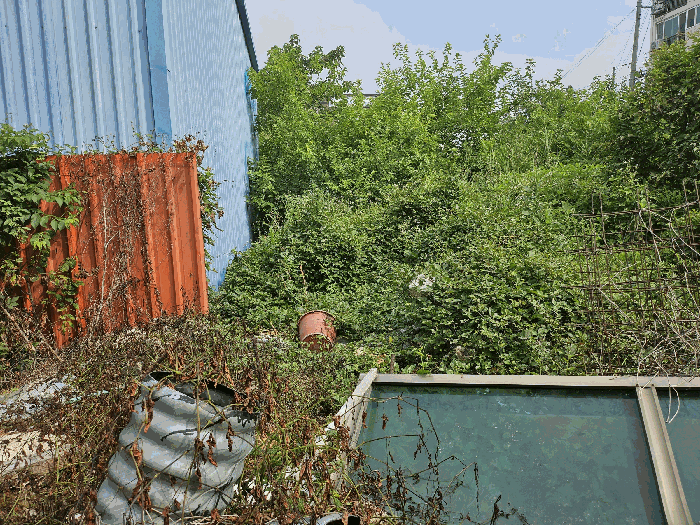 본건 남측경계 주위환경