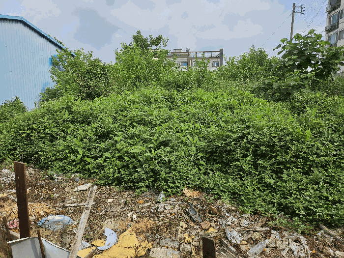 본건 남측경계에서 북측방향 촬영