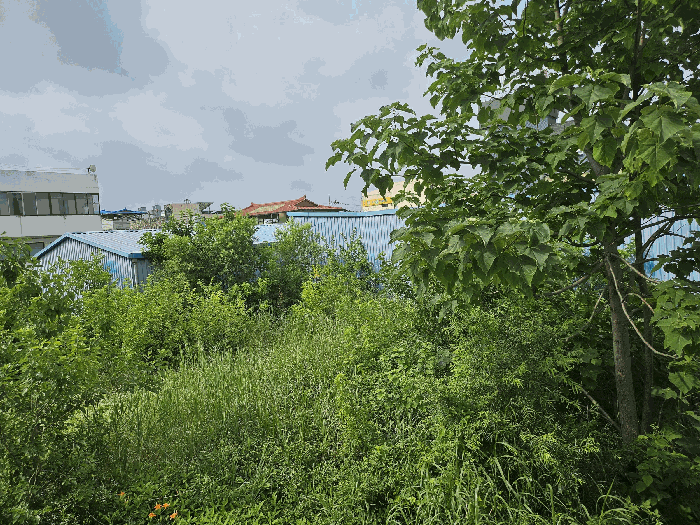 본건 북측경계에서 남서측방향 촬영