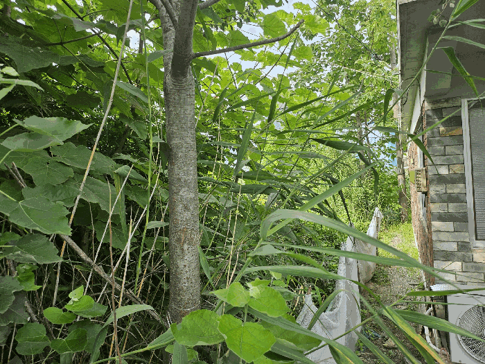 본건 북동측경계에서 서측방향 촬영