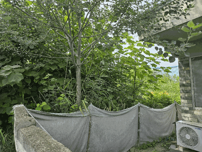 본건 북동측경계 주위환경