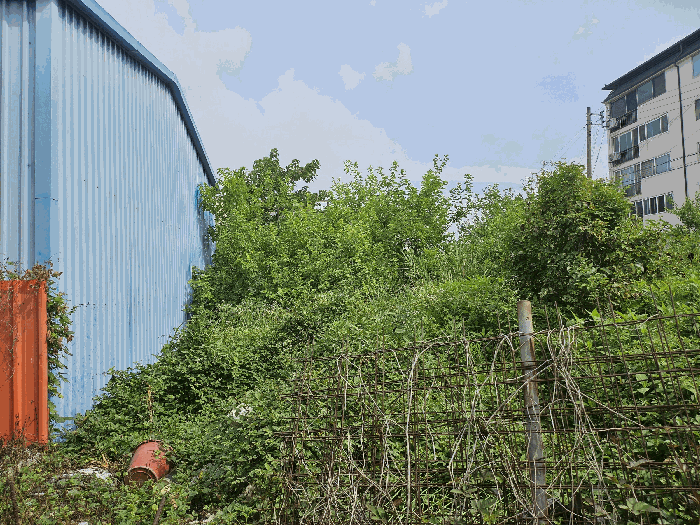 본건 남서측경계에서 북동측방향 촬영