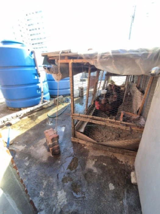 건물 277번길 3층