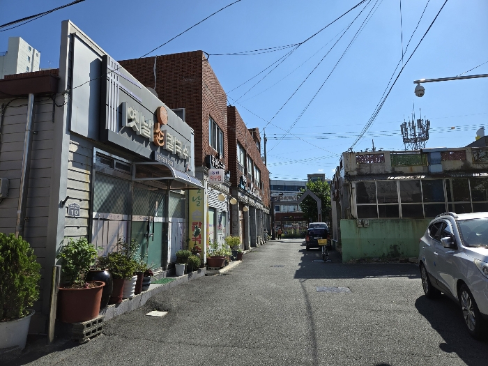 [본건 및 주변 전경 (북동 → 남서)]