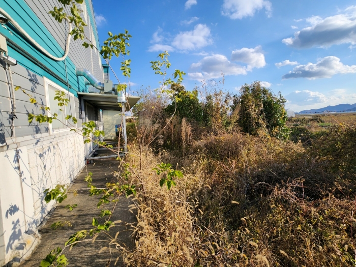 일련번호(3) 전경