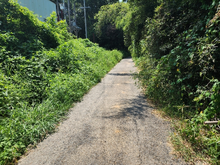 기호7 토지(본건 및 현황 도로부분)