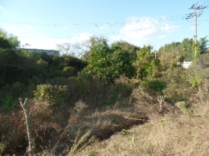 기호 11. 일부 묵전부분