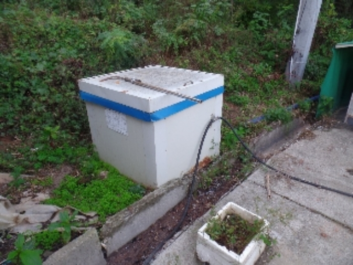 제시외 ㅊ.관정 1식