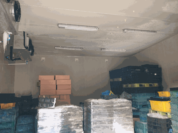 기계기구(7) 냉동창고 내부