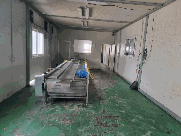 기계기구 1-1) 1차육안 선별컨베어