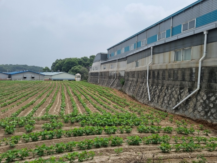 기호(2),(3) 전경